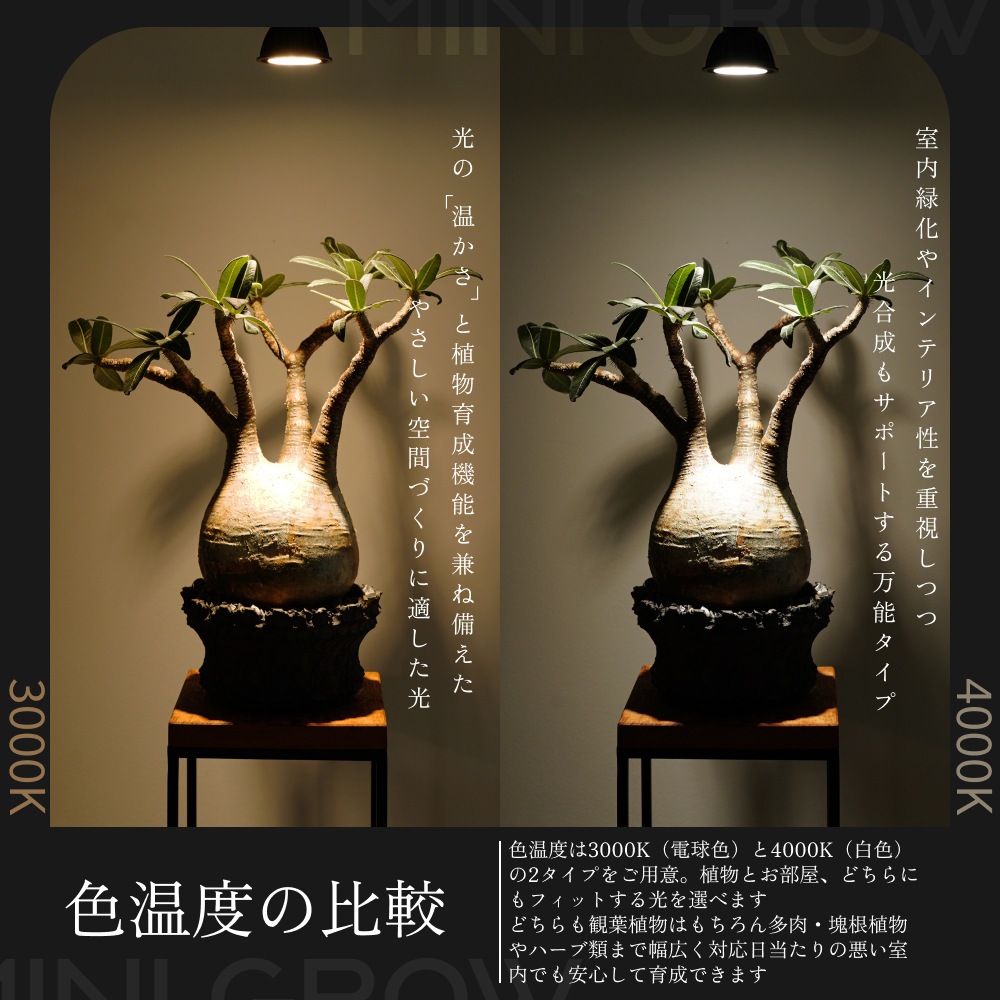 MINI GROW SUN-9WŵE26þʸʪ֤ÿ١3000K/4000K