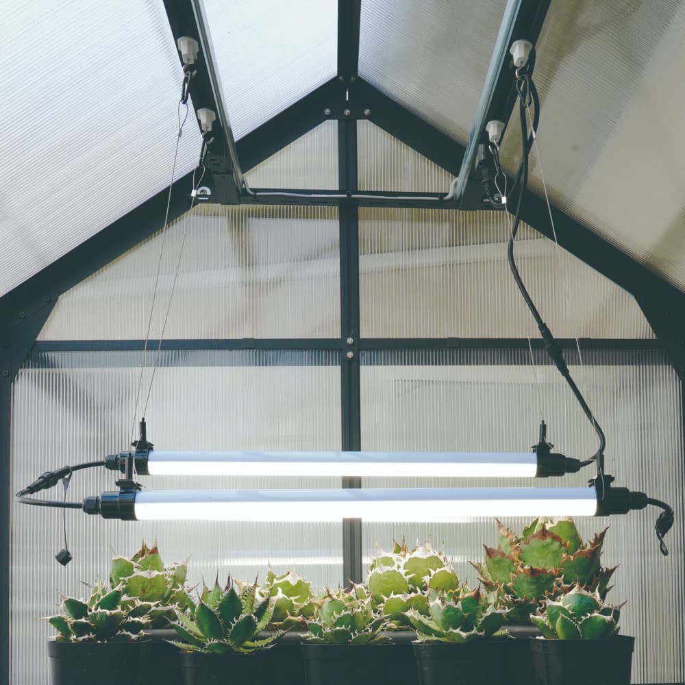 GROW LINEۥСÿ١3000K~5000K