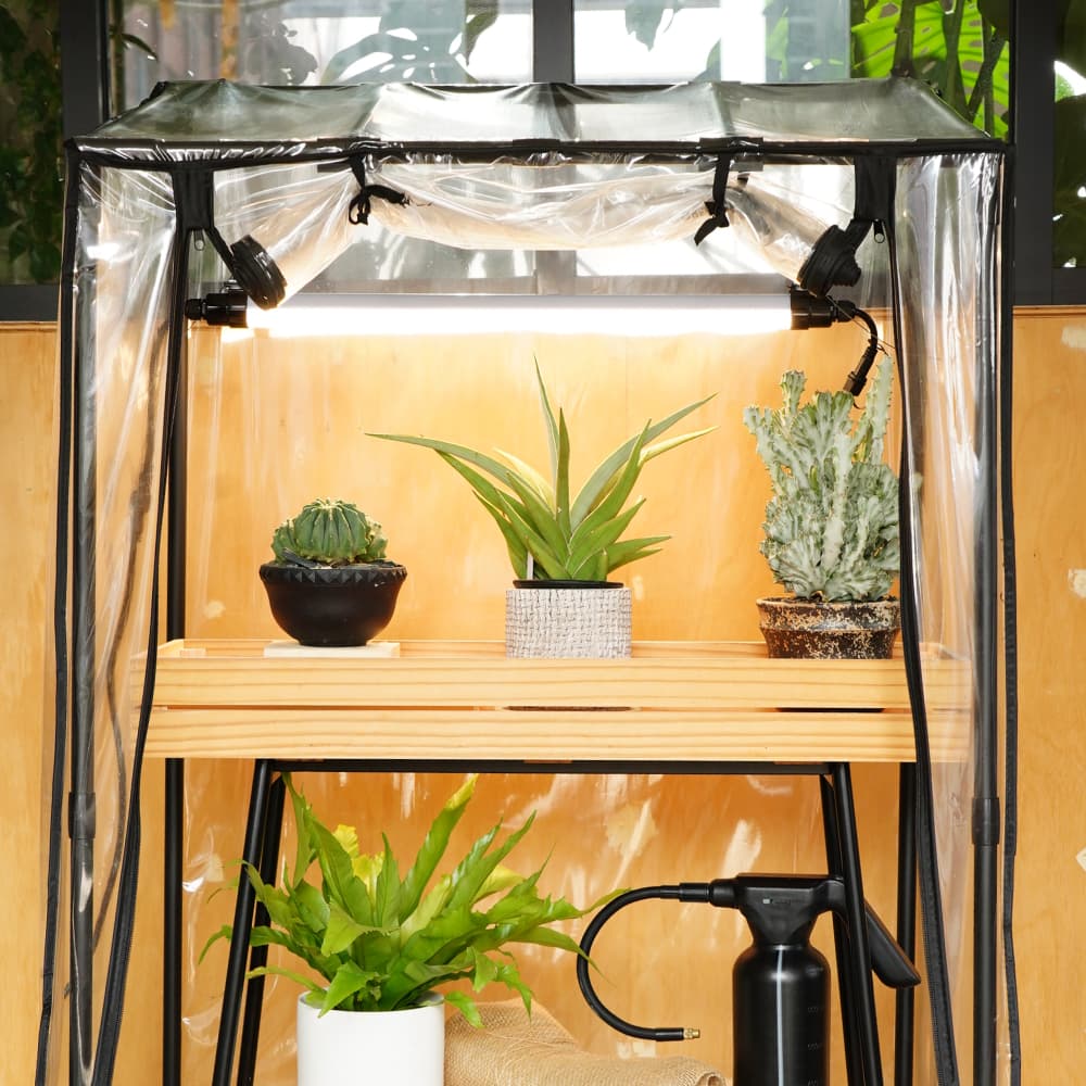 GROW LINEۥСÿ١3000K~5000K