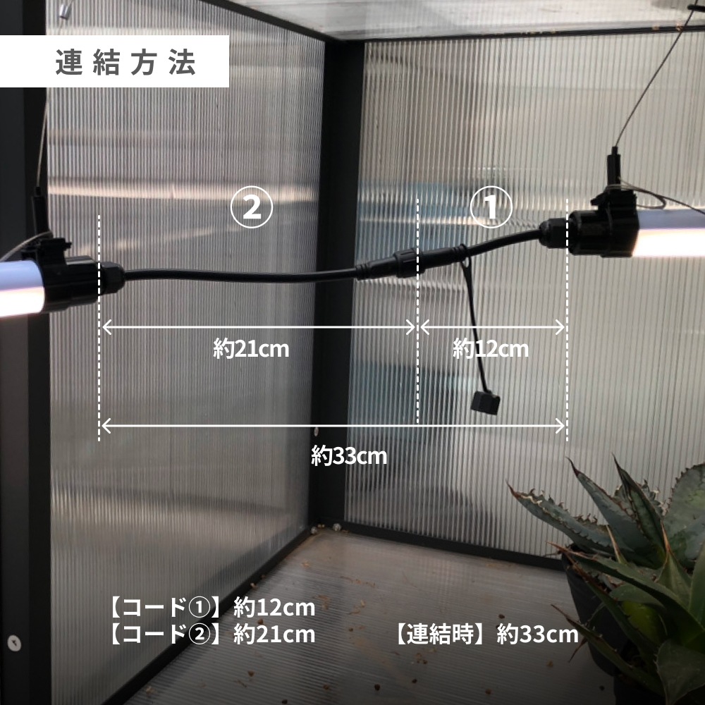 GROW LINEۥСÿ١3000K~5000K