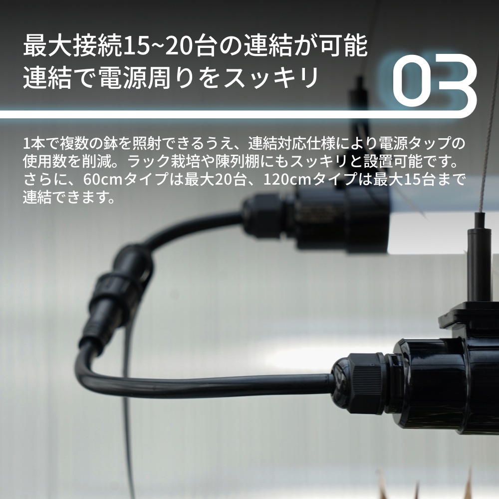 GROW LINEۥСÿ١3000K~5000K