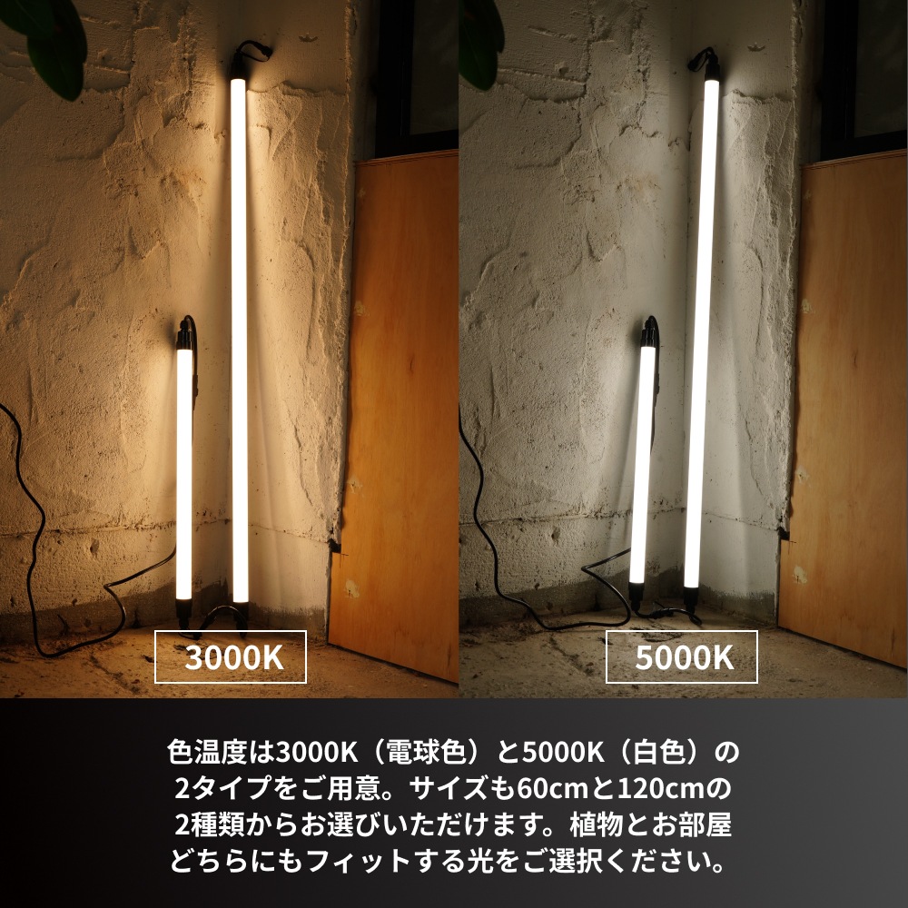 GROW LINEۥСÿ١3000K~5000K