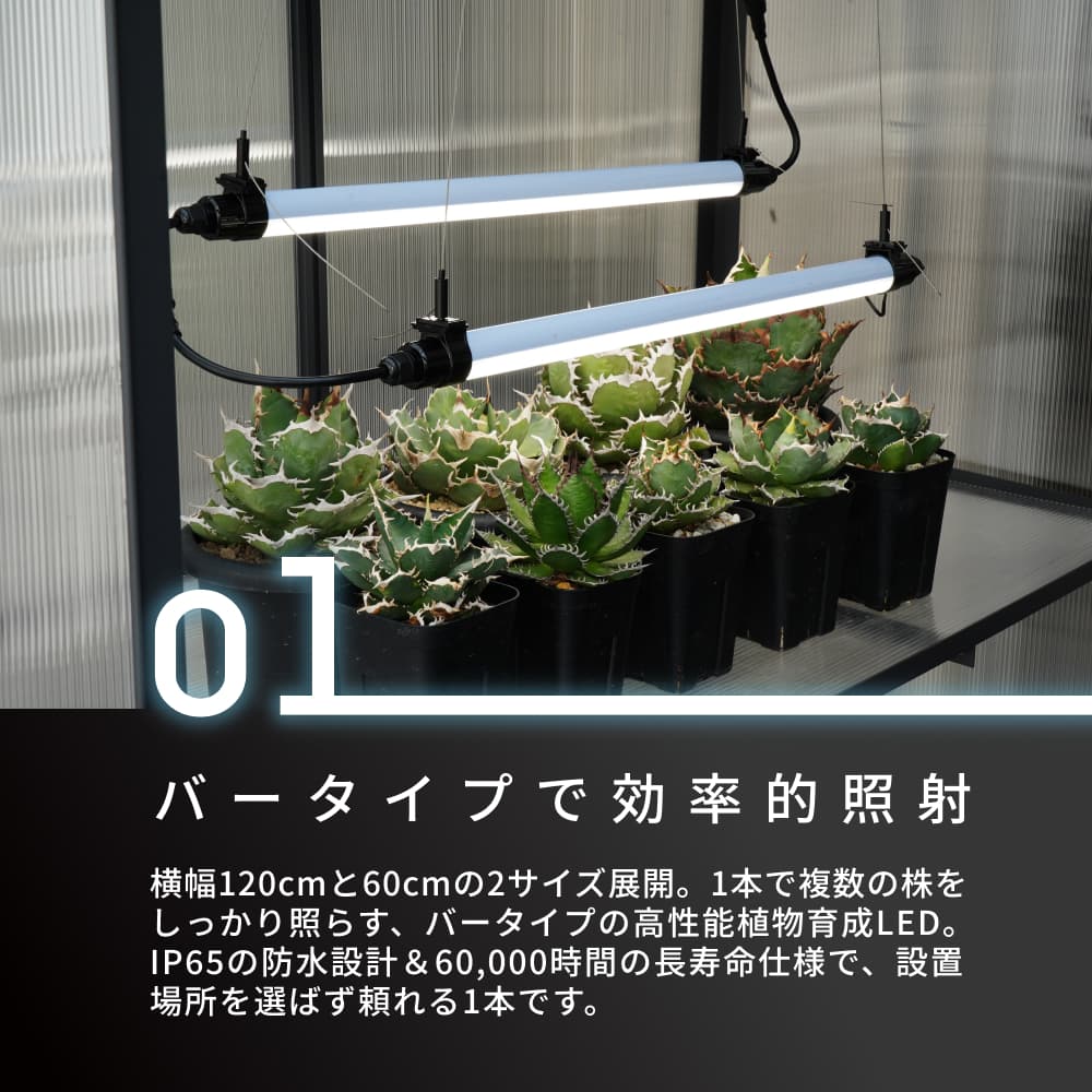 GROW LINEۥСÿ١3000K~5000K