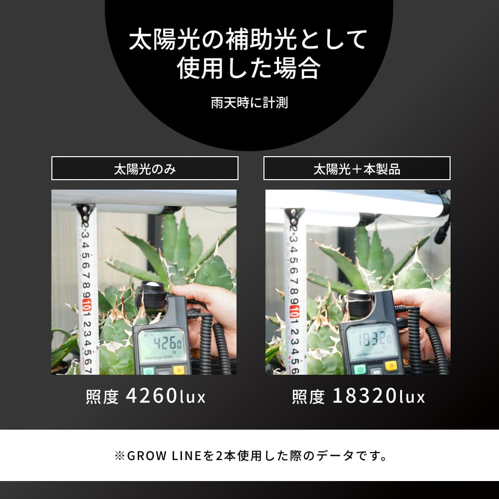 GROW LINEۥСÿ١3000K~5000K