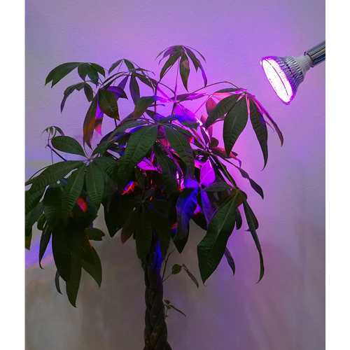 ڿʪLED OPT-18WE26 PLANT CLIP-A åۻ翧ŵ E26PlantLight18W˴տʪ ʪݥ饤