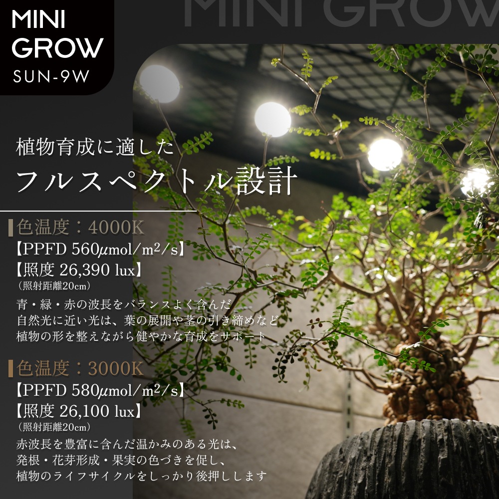 Clamp Lamp Socketá MINIGROW SUN-9W֤⡢ פɤΥˡååȡڥå