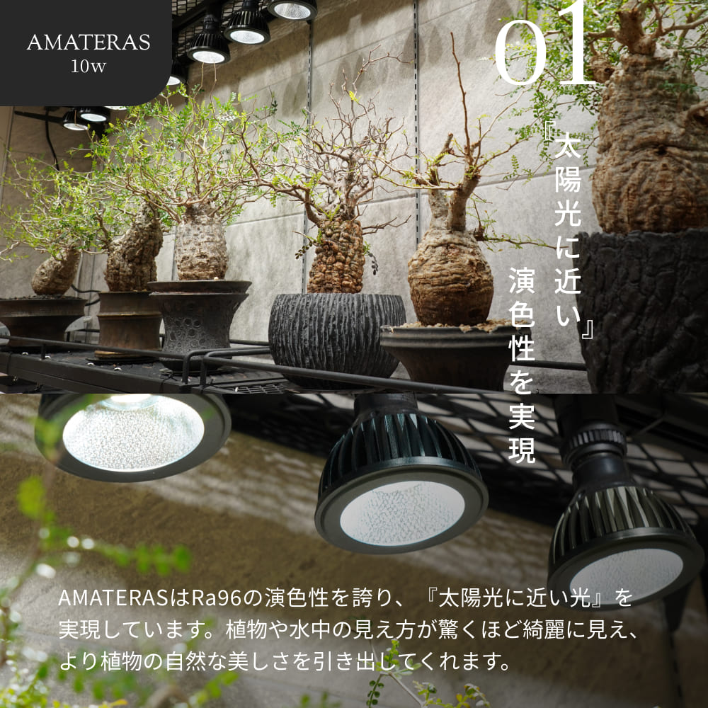 �ڥ��å�����ۡ�AMATERAS LED 10W �� PLANT CLIP-A-E26