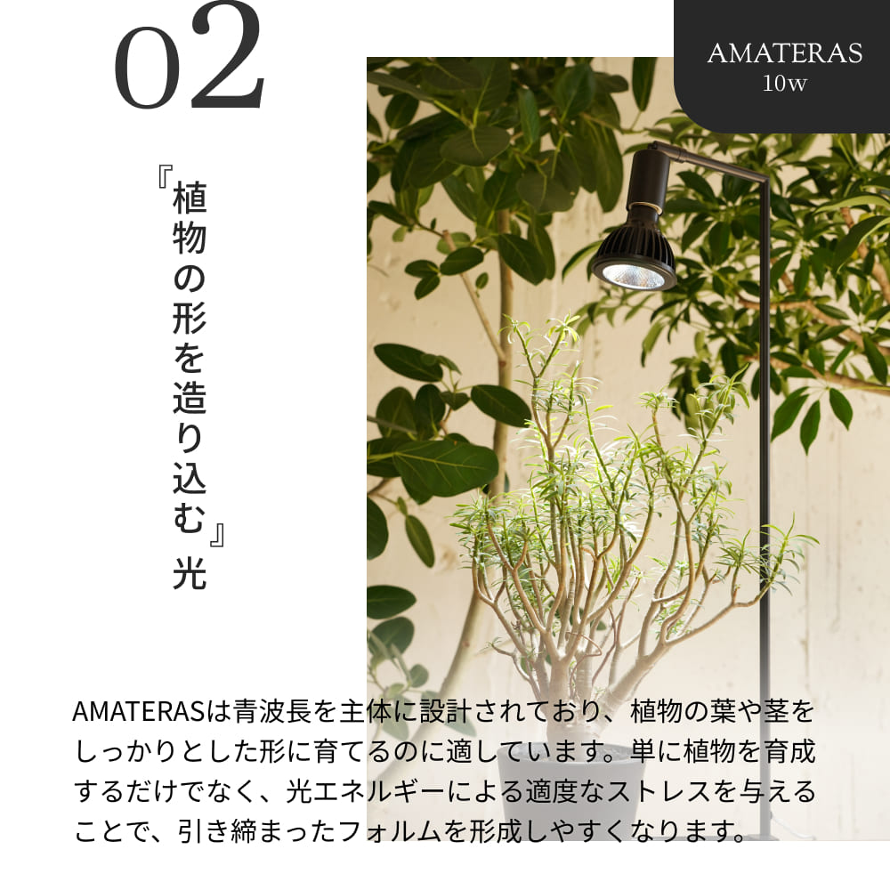 �ڥ��å�����ۡ�AMATERAS LED 10W �� PLANT CLIP-A-E26