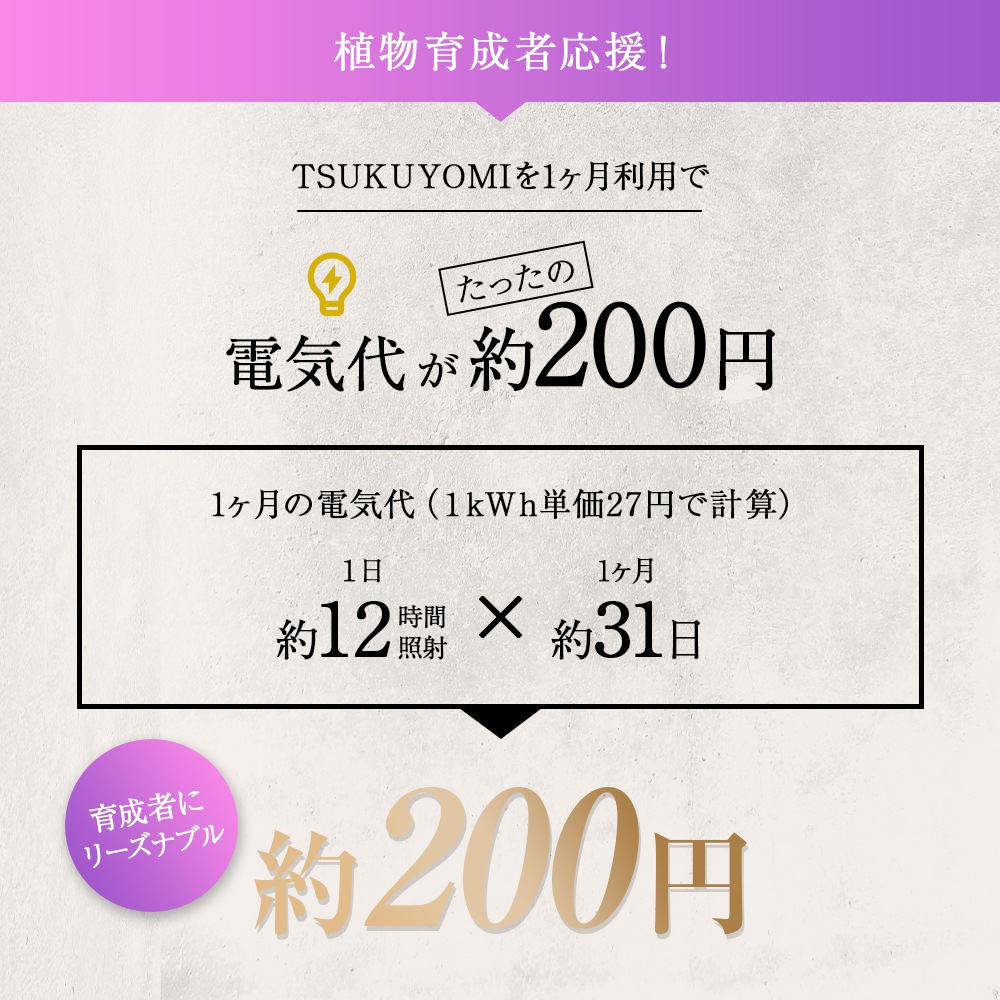 NEO TSUKUYOMI LED 20WۿʪLED ۸LED ꥦLED ƥꥦ ۸LED ۥ磻ȥܥǥ