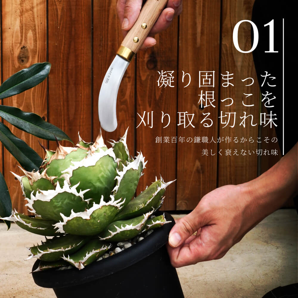 ��TAKEMOTO BROS SICKLES���ܿ��Ѥγ��ۡ�Traspalting Sickle/Utility Sickle���� �����ؤ������ܳ������