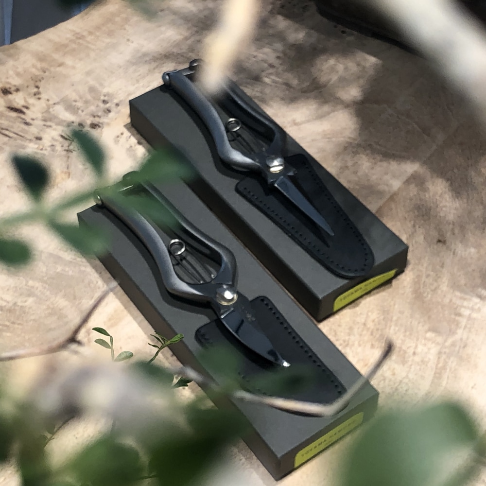 ��PRUNING  SHEARS�ۡå��ƥ�쥹�����������ڶ��ó�����ʪ