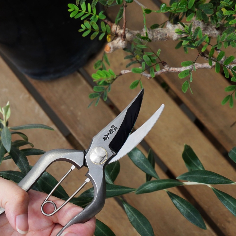 ��PRUNING  SHEARS�ۡå��ƥ�쥹�����������ڶ��ó�����ʪ