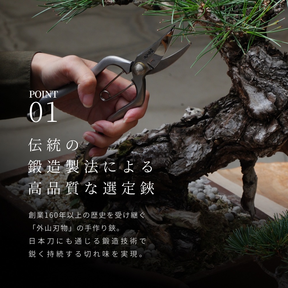 ��PRUNING  SHEARS�ۡå��ƥ�쥹�����������ڶ��ó�����ʪ