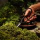 ��BONSAI  SHEARS�ۡ��ߺ����ó�����ʪ