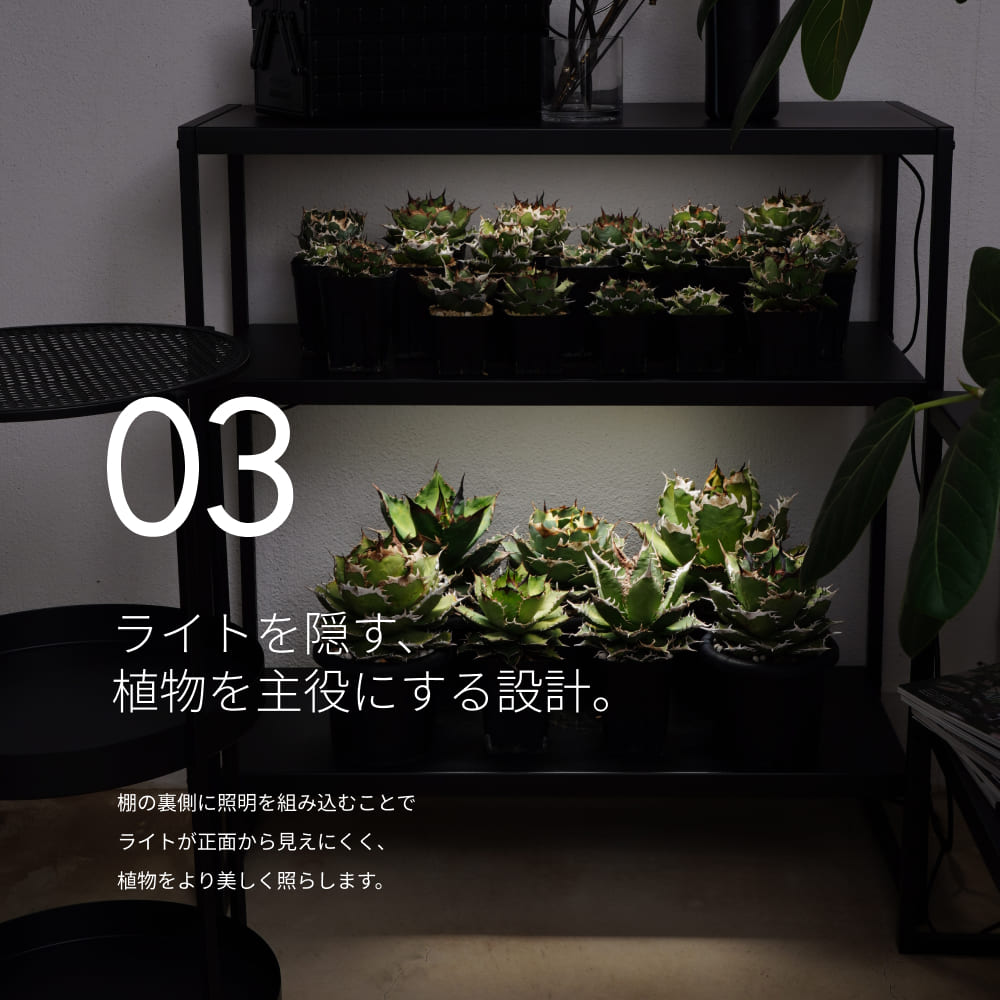 ��PLANT OPEN RACK 70/100�ۡ�GREEN THUMBERS�åץ��ȥ����ץ��å���H70��S60��D30 H100��S90��D36[cm] 