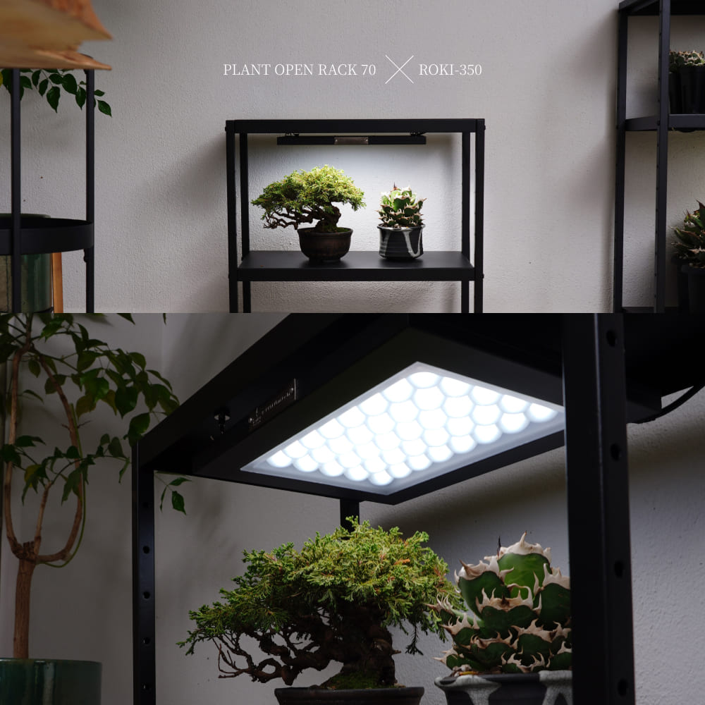 ��PLANT OPEN RACK 70/100�ۡ�GREEN THUMBERS�åץ��ȥ����ץ��å���H70��S60��D30 H100��S90��D36[cm] 