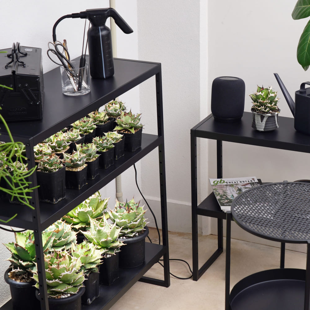 ��PLANT OPEN RACK 70/100�ۡ�GREEN THUMBERS�åץ��ȥ����ץ��å���H70��S60��D30 H100��S90��D36[cm] 