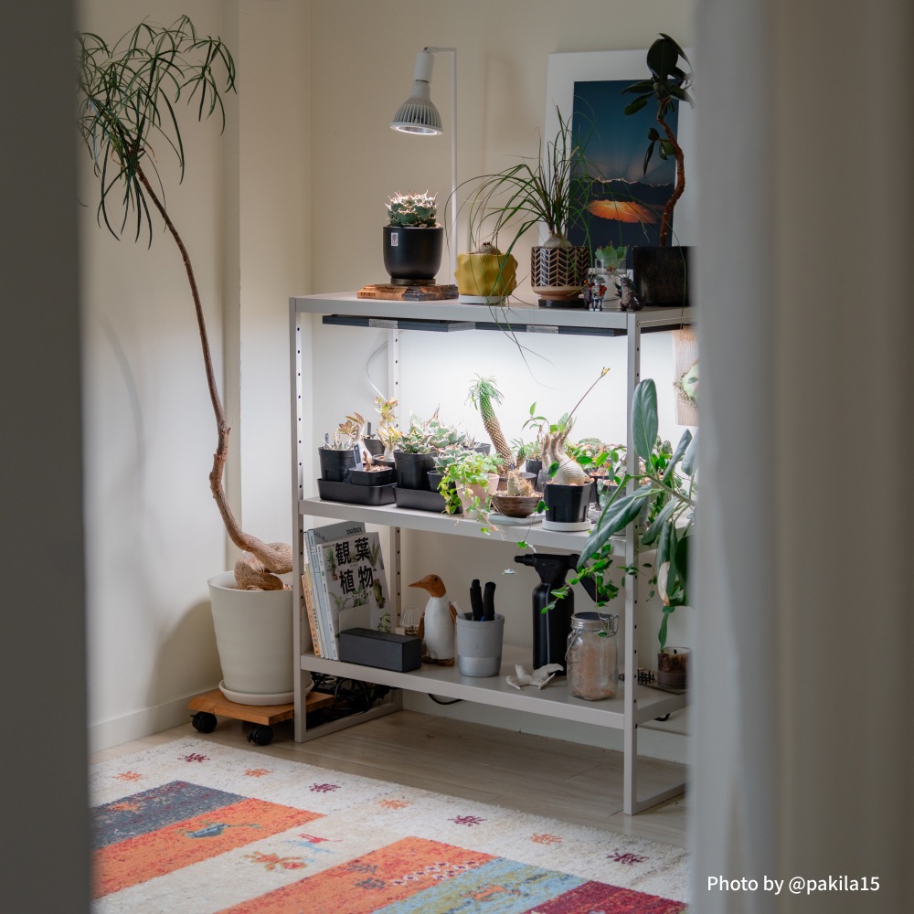 ��PLANT OPEN RACK 70/100�ۡ�GREEN THUMBERS�åץ��ȥ����ץ��å���H70��S60��D30 H100��S90��D36[cm] 