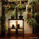 ��PLANT OPEN RACK 70/100�ۡ�GREEN THUMBERS�åץ��ȥ����ץ��å���H70��S60��D30 H100��S90��D36[cm] 