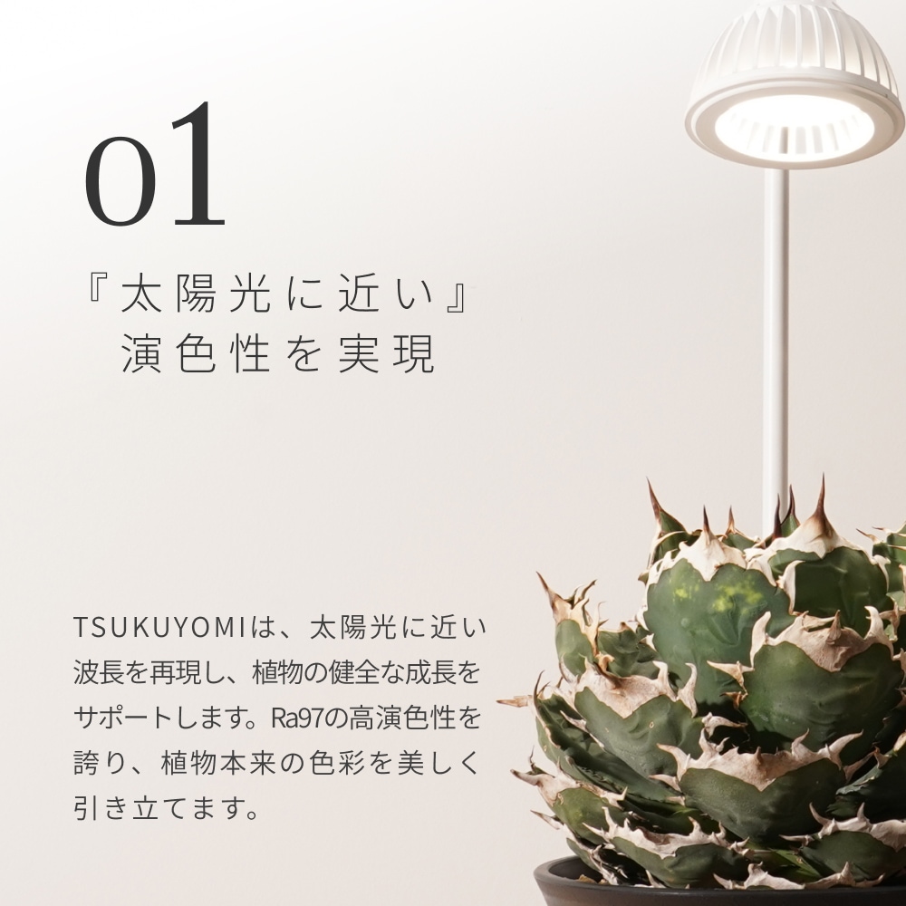 BARREL, barrel, バレル, TSUKUYOMI, tsukuyomi, ツクヨミ, 植物育成