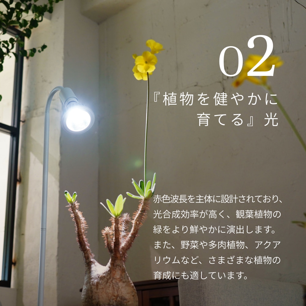BARREL, barrel, バレル, TSUKUYOMI, tsukuyomi, ツクヨミ, 植物育成