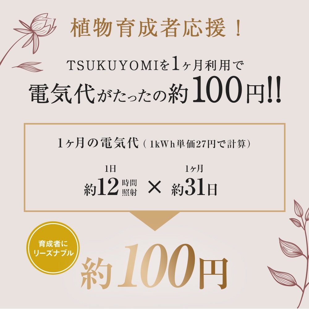 TSUKUYOMI 10W ۥ磻