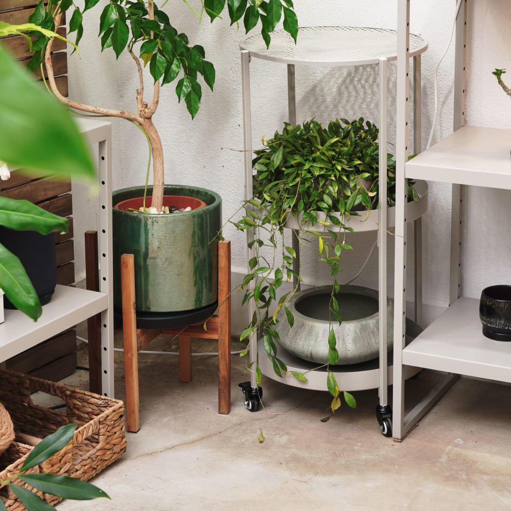 ��PLANT ROUND CART�ۡ�GREEN THUMBERS�åץ��ȥ饦��ɥ����ȡæ�40��H81[cm]