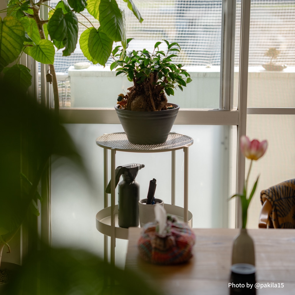 ��PLANT ROUND CART�ۡ�GREEN THUMBERS�åץ��ȥ饦��ɥ����ȡæ�40��H81[cm]