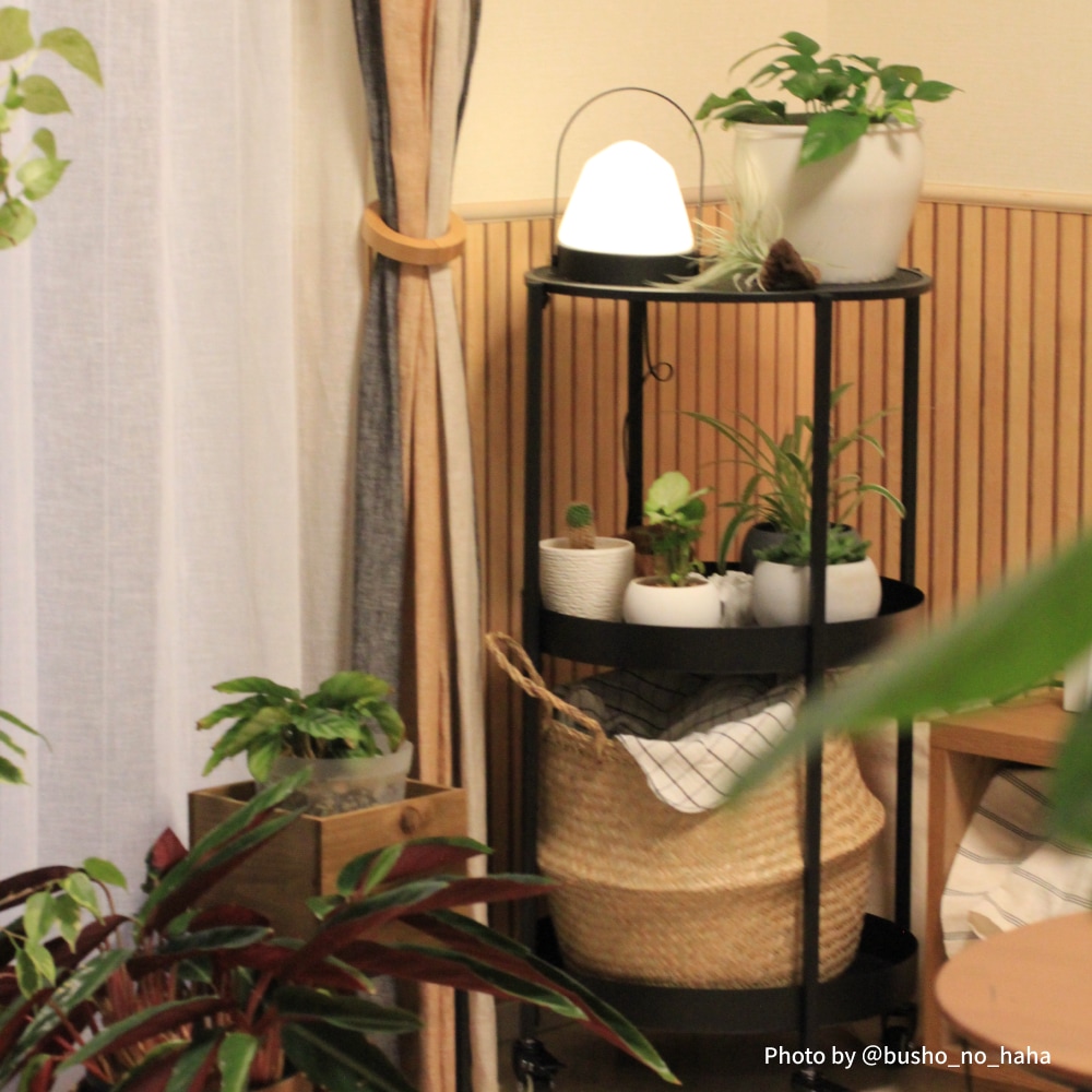 ��PLANT ROUND CART�ۡ�GREEN THUMBERS�åץ��ȥ饦��ɥ����ȡæ�40��H81[cm]