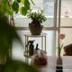 ��PLANT ROUND CART�ۡ�GREEN THUMBERS�åץ��ȥ饦��ɥ����ȡæ�40��H81[cm]
