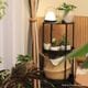 ��PLANT ROUND CART�ۡ�GREEN THUMBERS�åץ��ȥ饦��ɥ����ȡæ�40��H81[cm]