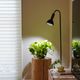 NEO AMATERAS LED 20WۿʪLED ۸LED ꥦLED ƥꥦ ۸LED ֥åܥǥ