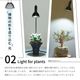 NEO AMATERAS LED 20WۿʪLED ۸LED ꥦLED ƥꥦ ۸LED ֥åܥǥ