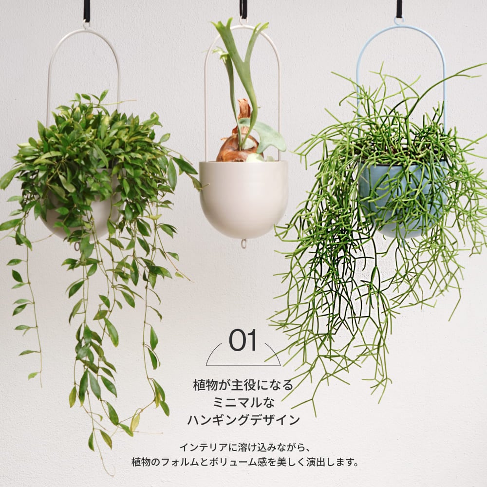 ��HANGING PLANTPOT O1�ۡ�GREEN THUMBERS�åϥ󥮥󥰥ץ��ȥݥå�