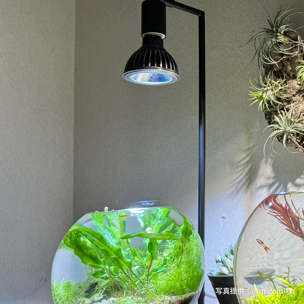 植物育成ライト専門店BARREL｜【SUSANOO-10W】電球型