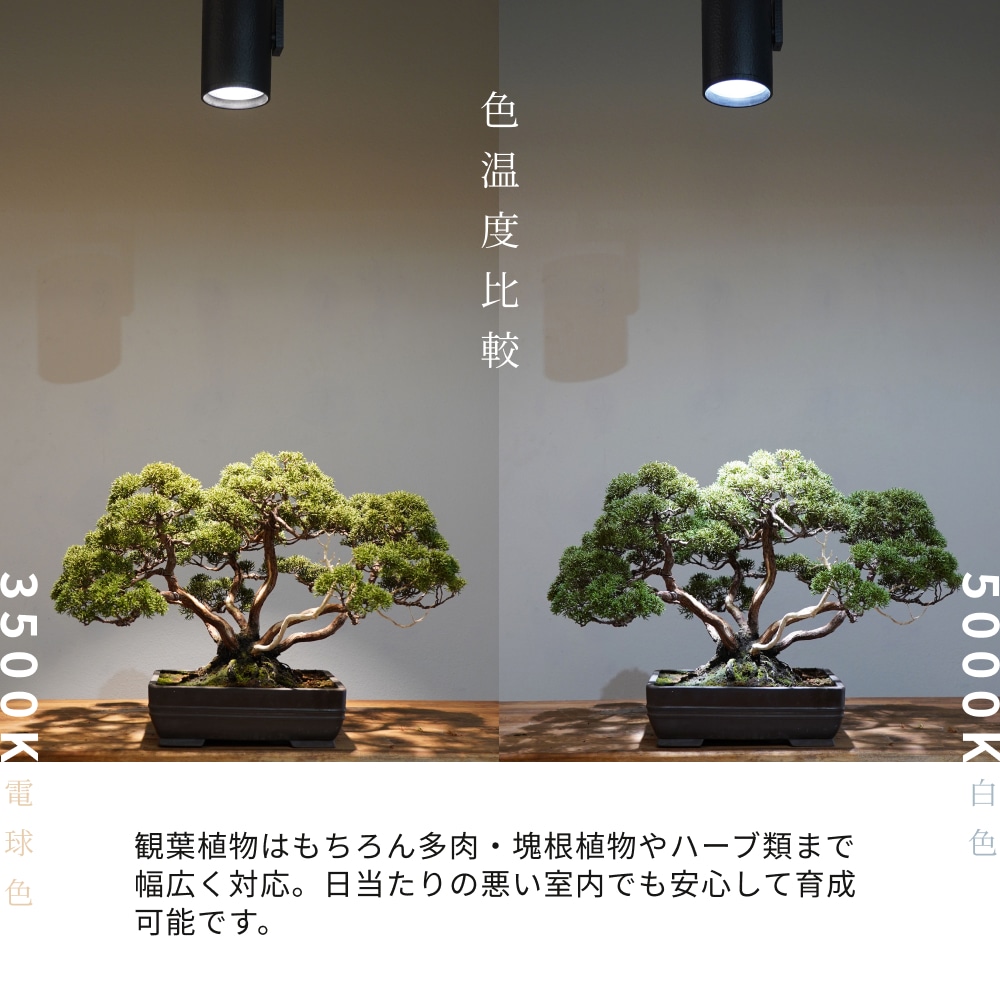 HADES LED 45WPRO SPECåݥåȷ Ĵ ޡ 塼ð߶ֱФαǤÿ١3500K5000K