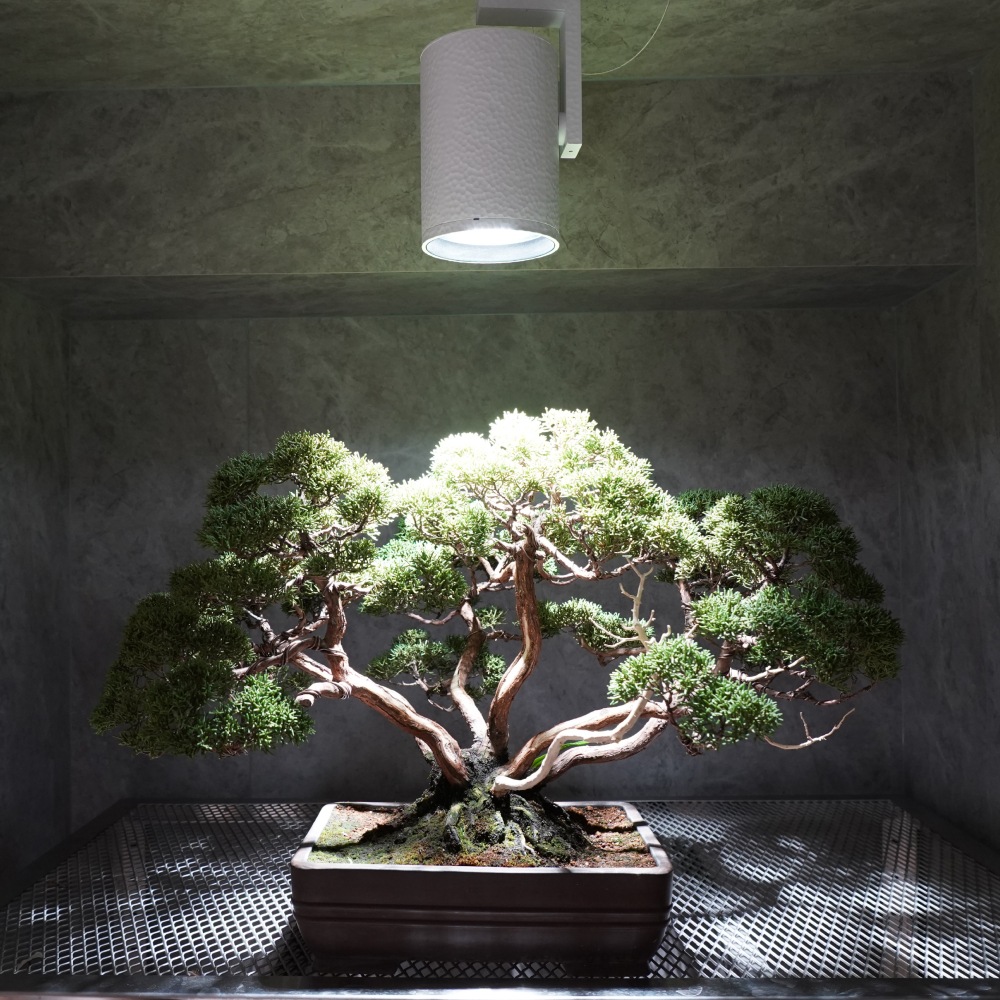 HADES LED 45WPRO SPECåݥåȷ Ĵ ޡ 塼ð߶ֱФαǤÿ١3500K5000K