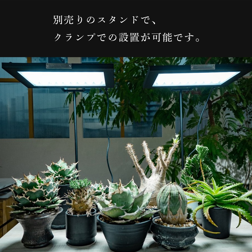 ROKI350 100W() ѥͥ饤 Ķ鿧 ʪѾ