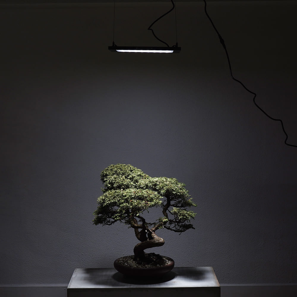 ��ROKI-350�ۥѥͥ뷿��Ĵ�� �ɿ���� IP65���̤Ƕ������礭����Ƥ�����ϡÿ����١�5300~5700K