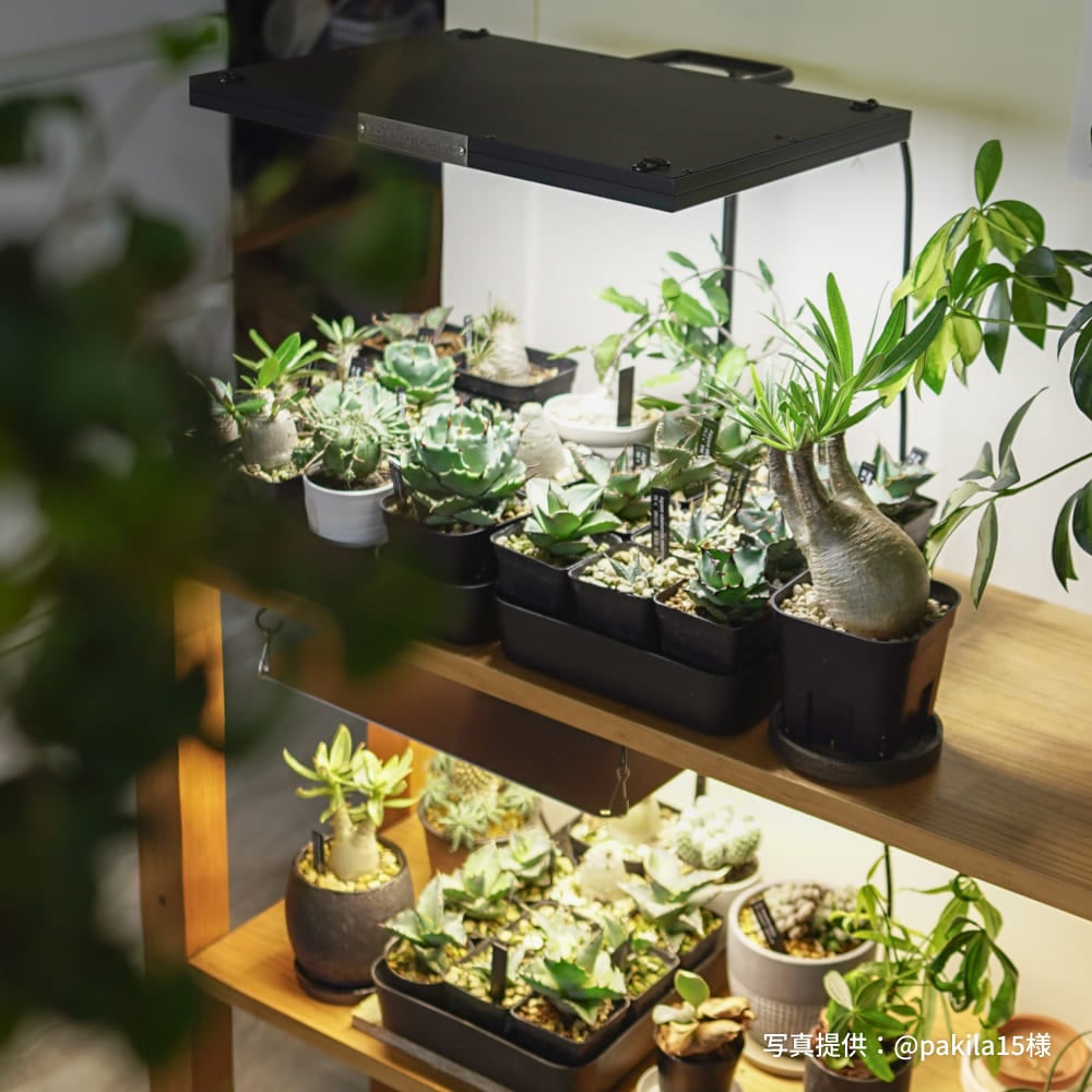 植物育成ライト専門店BARREL｜【ROKI-350】PRO SPEC｜パネル型