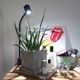 yew-7wۡʥ桼˿ʪLED ۸LED ꥦLED ƥꥦ ۸LED ɥ饤