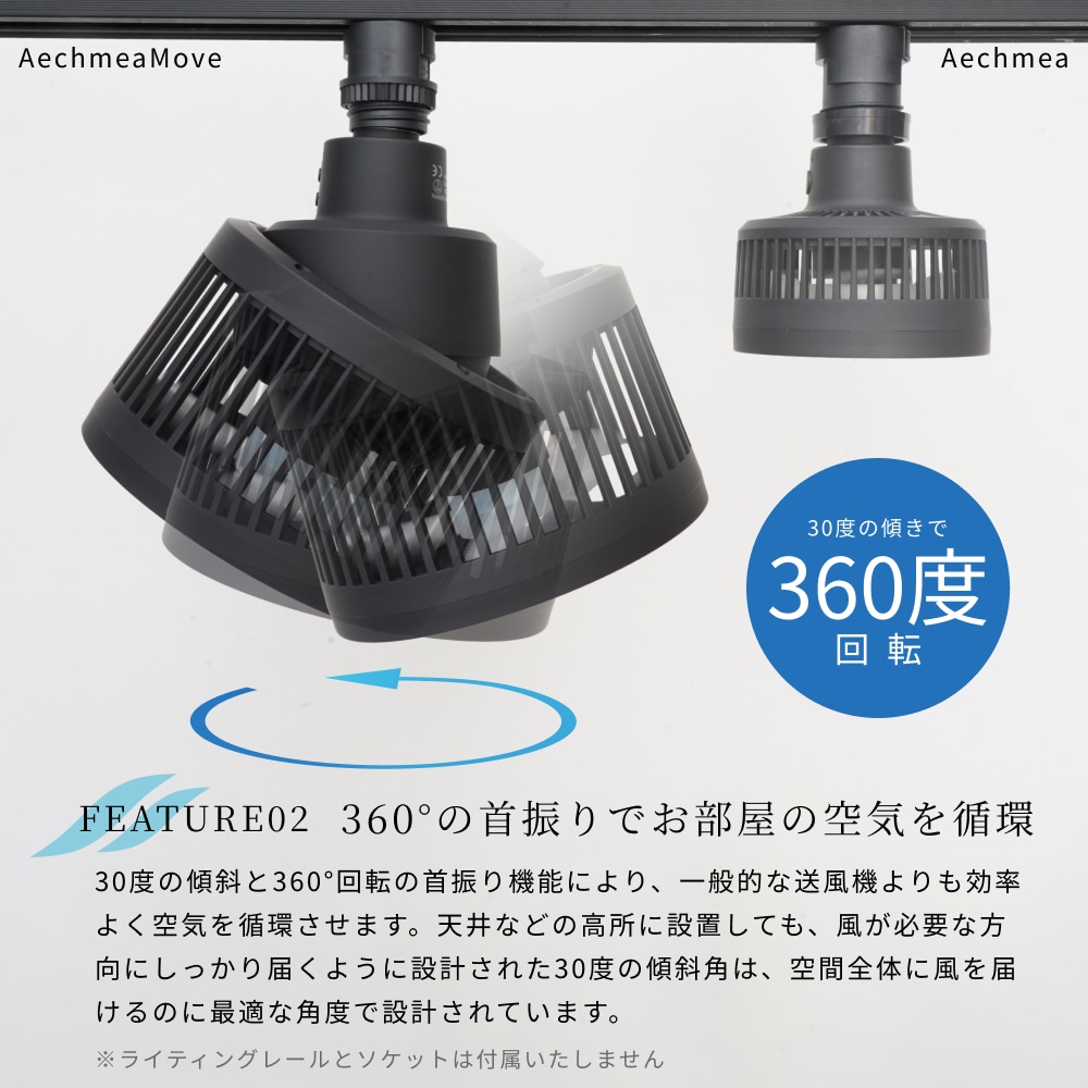 Aechmea moveۡåץͤü󿶤굡ǽ ޡö۴Ĥڤδ