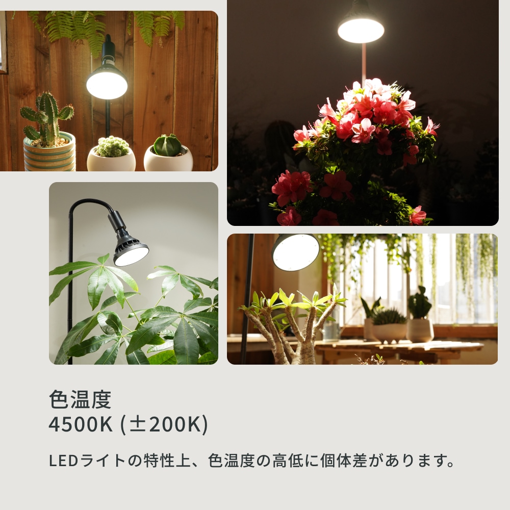 BARREL 植物育成ライト18W E26 2個セット Amazon.co.jp: 【植物育成LED OPT-18W×E26 PLANT CLIP-A セット