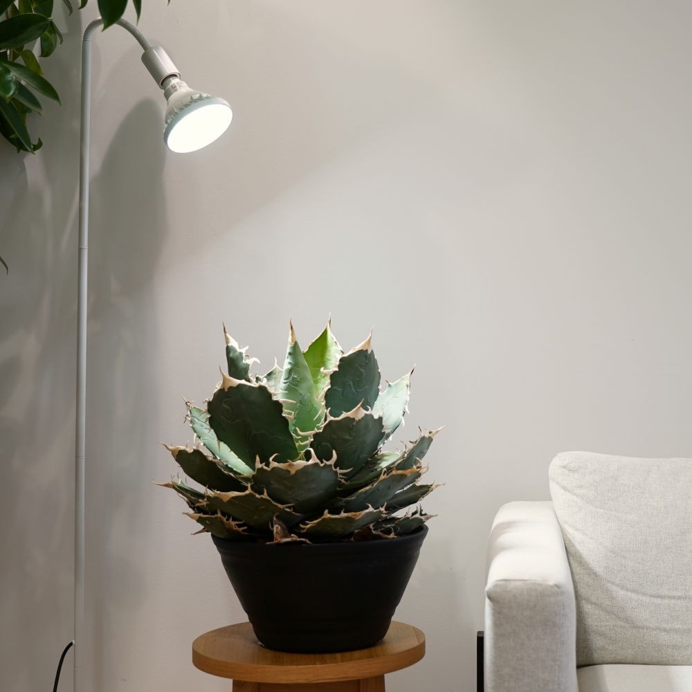 BARREL WAP-SUN-20W 口金26型 2個セット 植物育成ライト専門店BARREL｜【WAP-SUN-20W】電球E26｜防水仕様