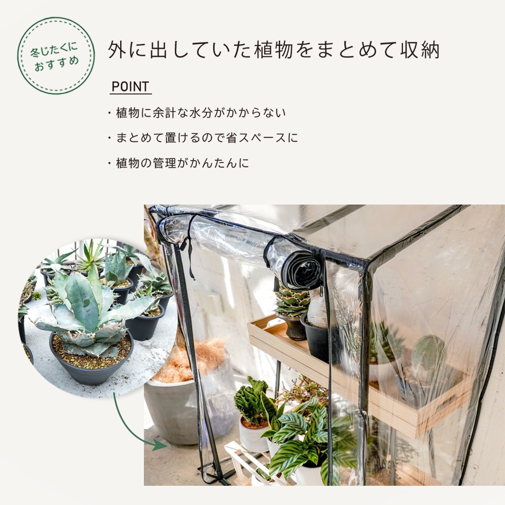 GREEN THUMBERS GREEN HOUSE ӥˡ벹