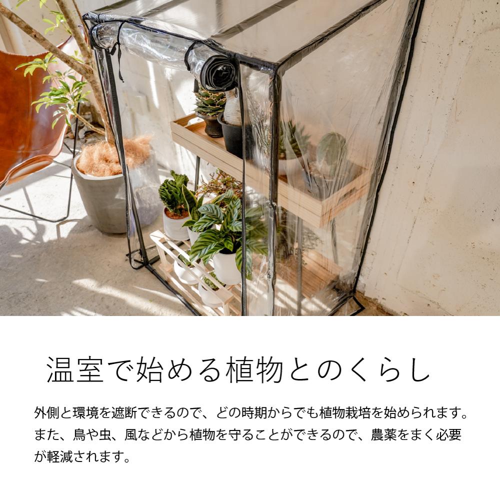 GREEN THUMBERS GREEN HOUSE ӥˡ벹