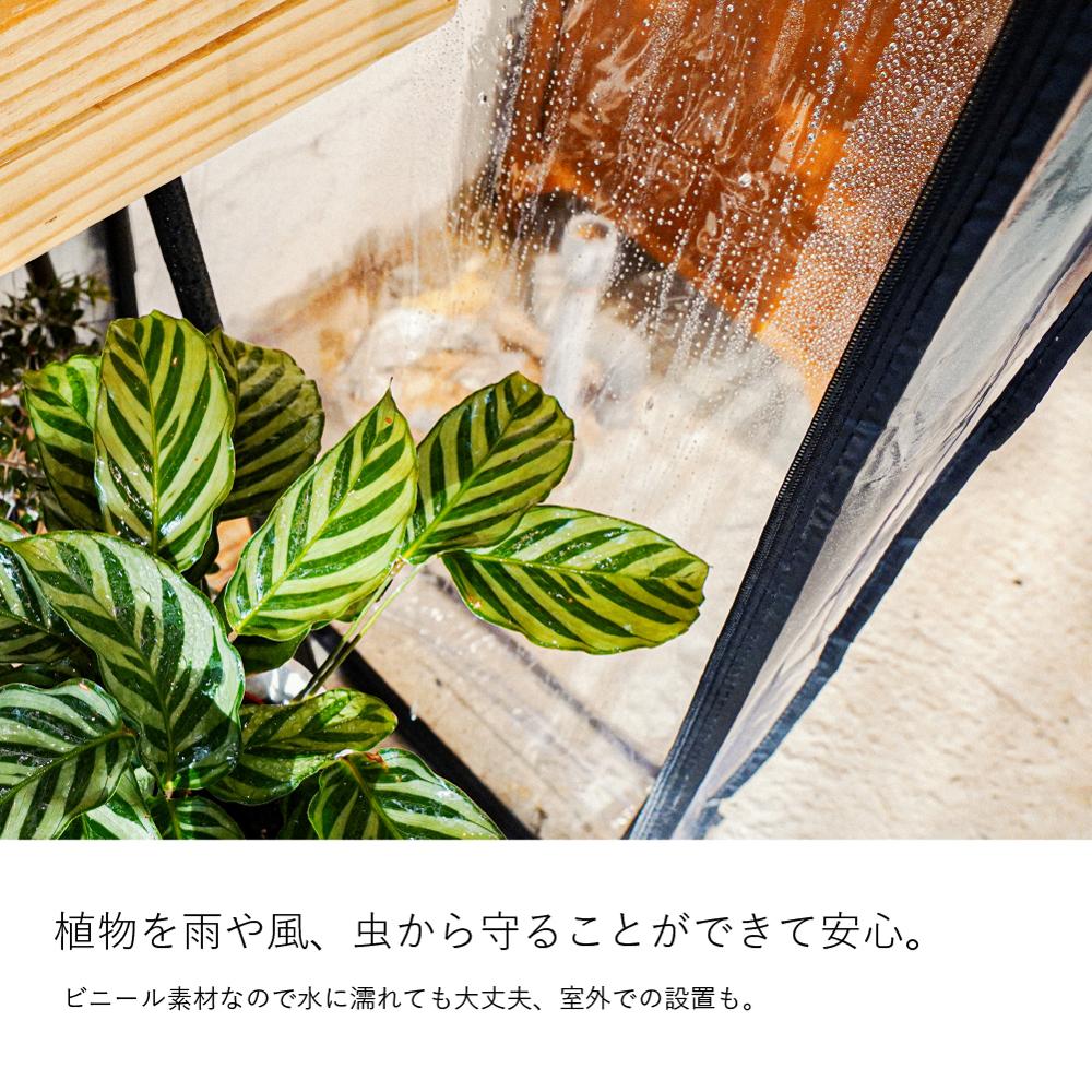 GREEN THUMBERS GREEN HOUSE ӥˡ벹