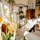 GREEN THUMBERS GREEN HOUSE ӥˡ벹