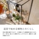 GREEN THUMBERS GREEN HOUSE ӥˡ벹