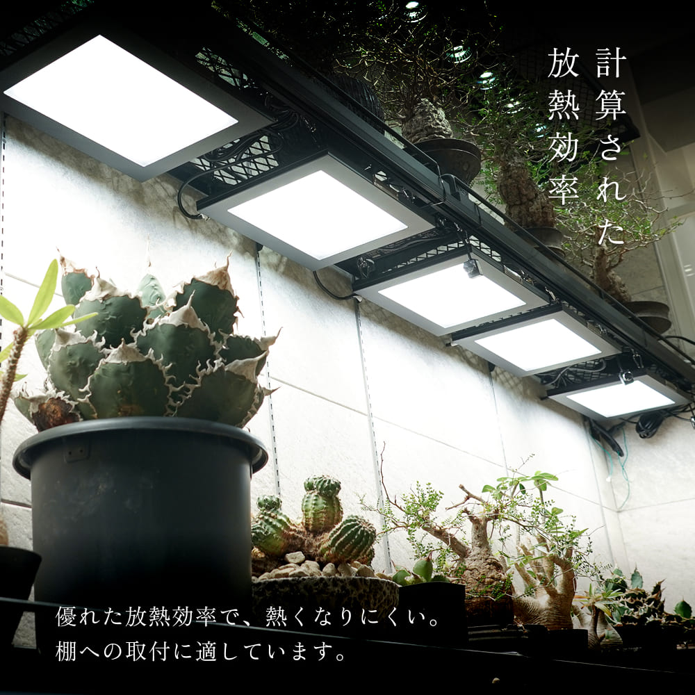 �ڥ��å�����ۡ�ROKI-350 �� ����ٸ򴹥��